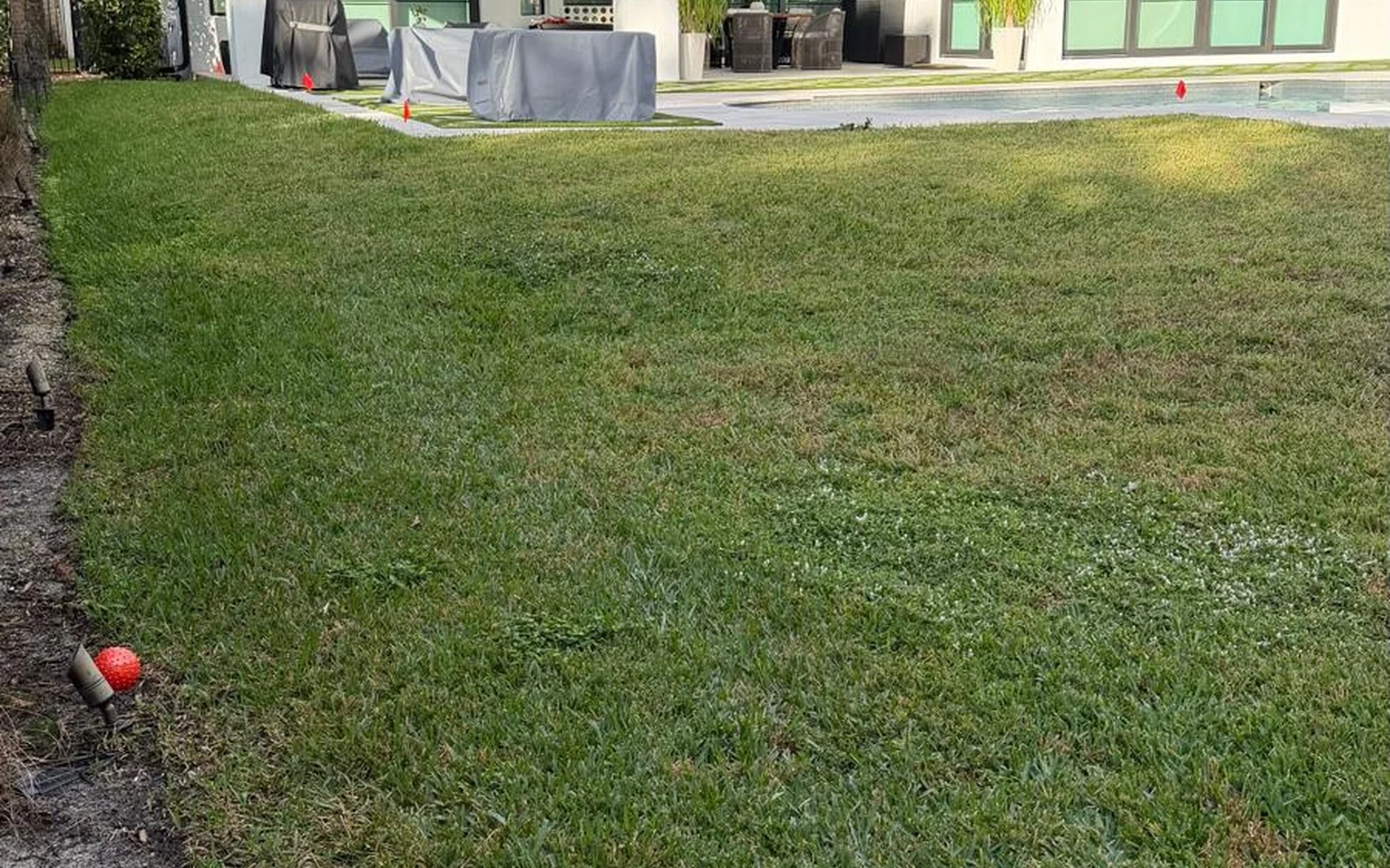 Existing natural lawn before the garden remodeling project