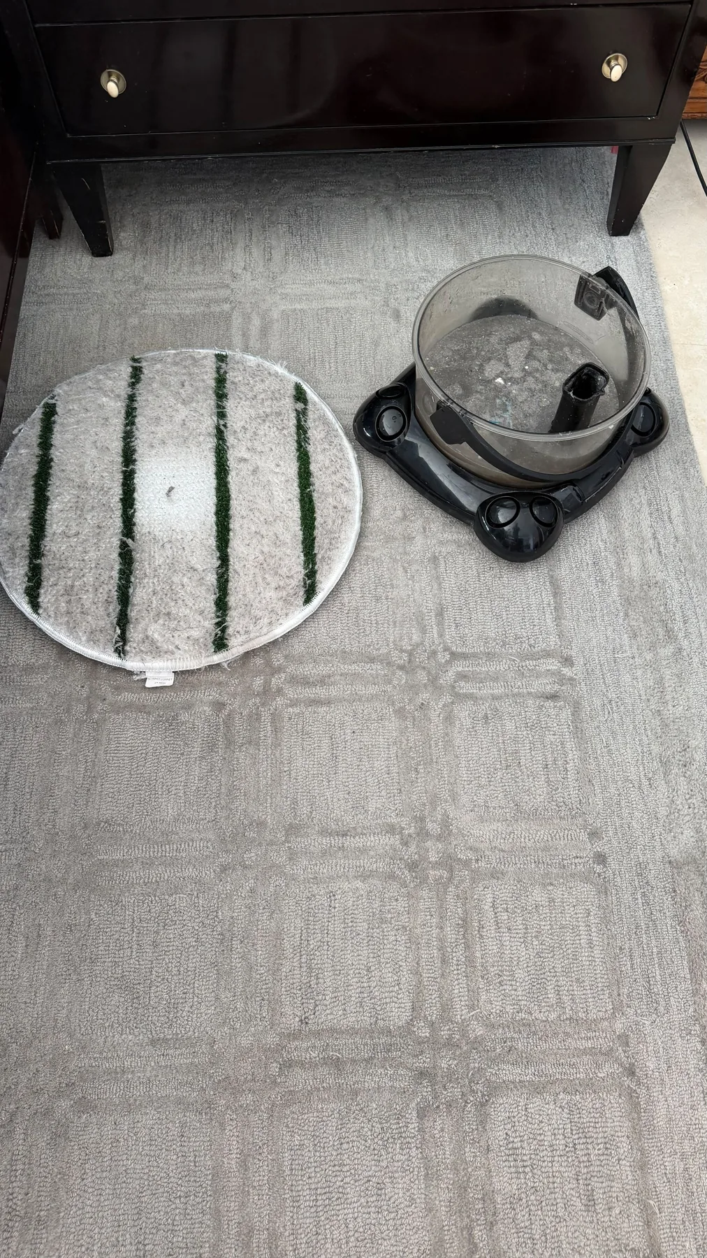 Carpet agitation and extraction equipment during professional cleaning in Fort Lauderdale