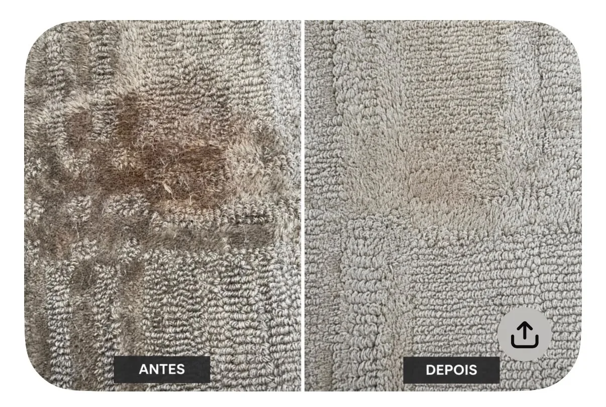 Localized carpet stain before and after professional treatment in Fort Lauderdale