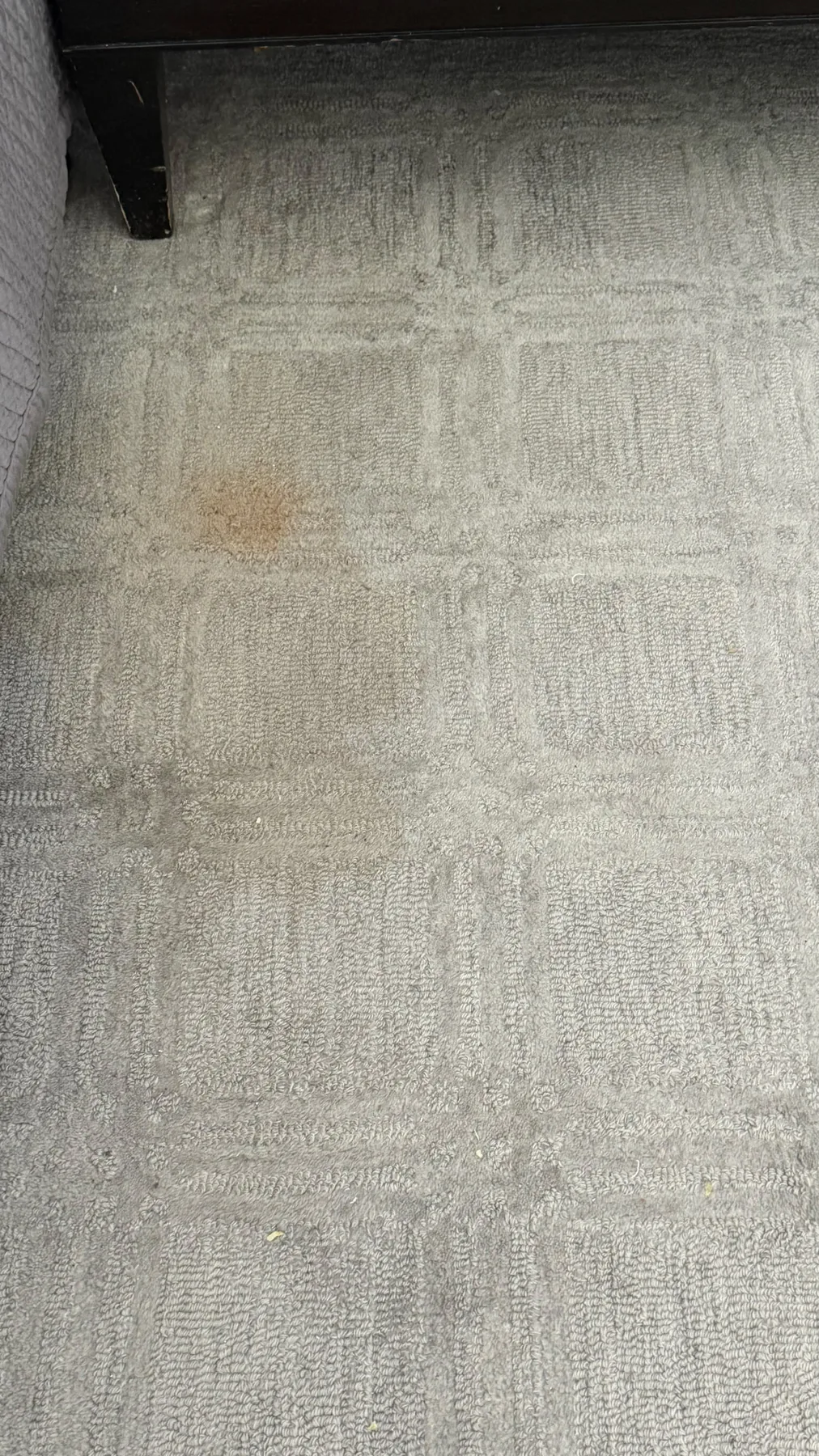 Residential carpet before professional deep cleaning in Fort Lauderdale