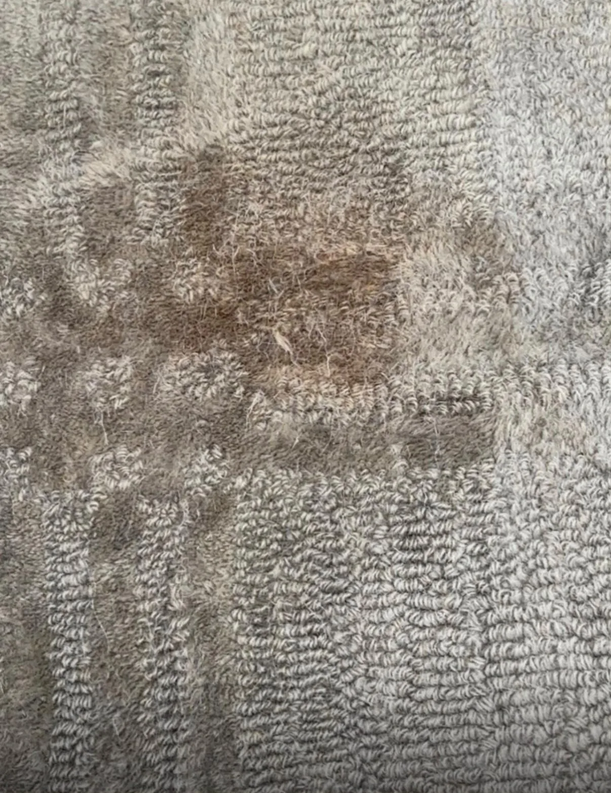 Carpet stain before professional cleaning and spot treatment