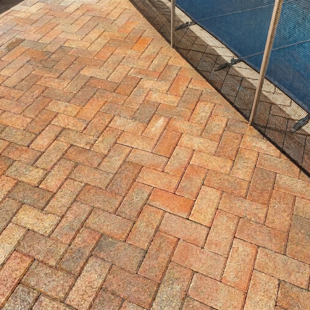 Clean poolside pavers after professional exterior cleaning